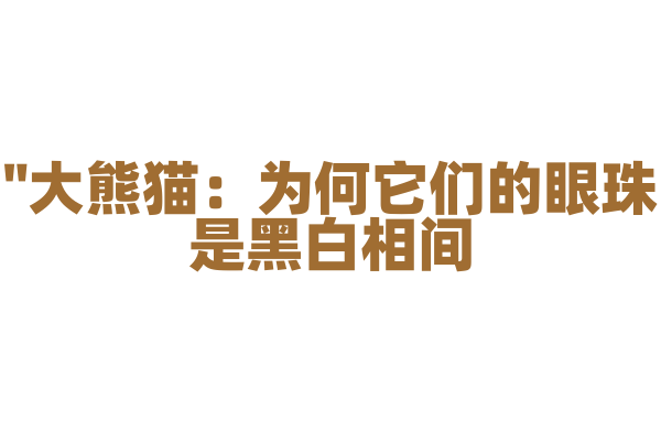 "大熊猫：为何它们的眼珠是黑白相间？"